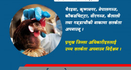 Bird Flu 1.jpg